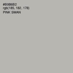 #B9B6B2 - Pink Swan Color Image